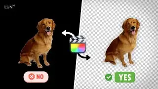 Export Graphics with a TRANSPARENT BACKGROUND in FCPX (2026)