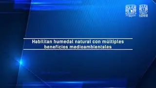 Humedal Natural FES Cuautitlán