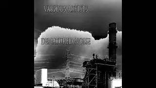 Various Artists - Denatured Noise CDr compilation OUT NOW