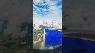 #indigo #fight #sky #clouds #trending #animal #bgm
