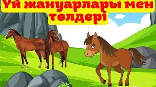 Үй жануарлары мен  олардың төлдері