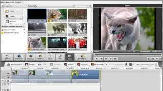 14 DVD меню в AVS Video Editor