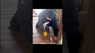Building an old house