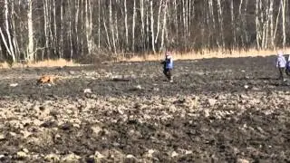 aprilli alguse jälg