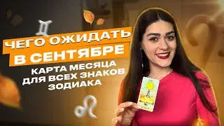 ТАРО-ПРОГНОЗ НА СЕНТЯБРЬ 2023 ДЛЯ ВСЕХ ЗНАКОВ ЗОДИАКА | Роза Рей |