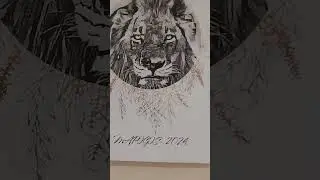 🇿🇦