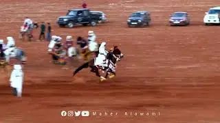 الميز : الفروسية الشعبية الليبية