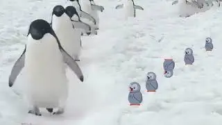 5 Chú Chim Cánh Cụt Nhỏ 2023 | Vần Điệu Vui Nhộn | Bài Hát Trẻ Em mới nhất | Five Little Penguins