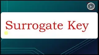 Why Surrogate Keys are used in Data Warehouse