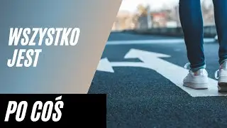 Wszystko jest po coś