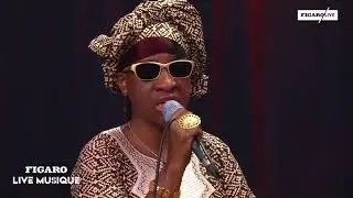 Amadou et Mariam fait son «live»
