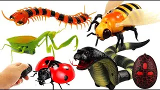 UNBOXING BIG COLLECTION OF ROBO INSECTS | mantis,cobra,scolopendra,bee | ASMR