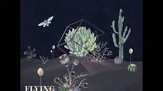 Doctor Dru - Wahah  (Flying Circus Recordings)