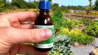 I spray everything in the garden with this, then only have time to harvest!