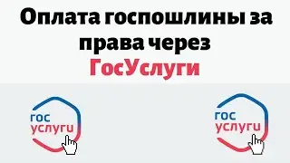 Инструкция: как заплатить за права на госуслуги