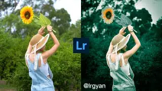 Dark Green Tone Lightroom Photo Editing Tutorial | Download Preset Free | Lightroom Editing