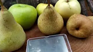 грушки как игрушки