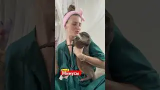 Минусы выдр