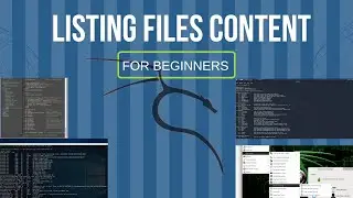 How to List Directory Contents  on kali linux