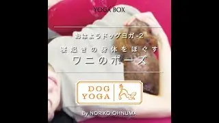 おはようドッグヨガ２~寝起きの身体をほぐすワニのポーズ~