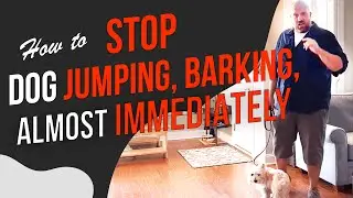 STOP Dog Chewing, STOP Dog Jumping, STOP Bad Manners With One Simple Command