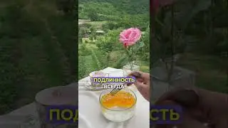 Как вырасти в Инстаграм?
