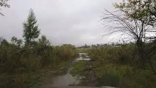 Honda cr-v 2005