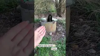 Люблю всякі свалки/заброшки 😂 3 частина