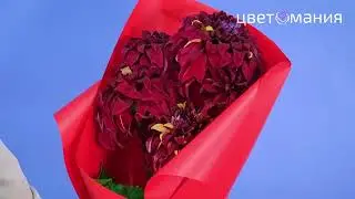 Букет из красных георгинов