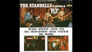 The Standells  - Linda Lu  ( 1964 )