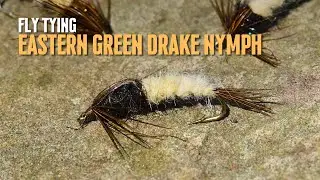 Fly Tying the Eastern Green Drake Nymph