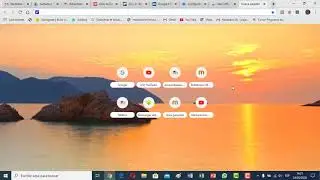 Configurar Temas Google Chrome