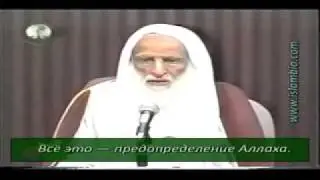 Sheykh Salih ibn Usaymin   vstrecha s medikami 2