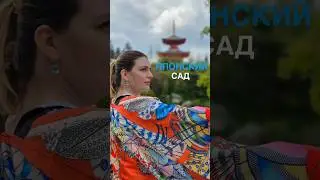 3 августа 2024 г.