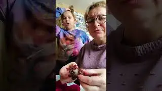 Экзотика и в Африке экзотика...
