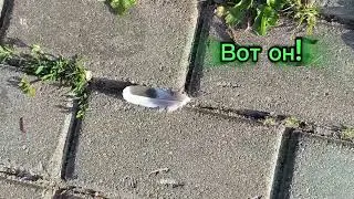 С добрым утром и прекрасного нам всем дня! ❤