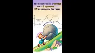 Твой надпочечник устал или…? 8 причин НЕ определять КОРТИЗОЛ!!!