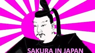 Cherry Blossoms in Japan