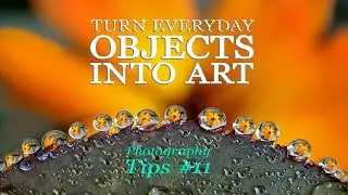 How to Turn Everyday Objects into Stunning Photo Art