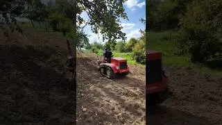 A long video of potato harvesting will be released soon🥔🖐️