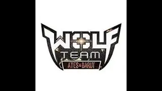 WolfTeam 100 TL ye çar dizme 2021