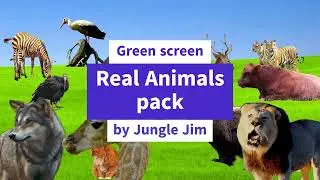 Green screen real animals pack