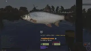 Fisher Online : Нидерланды. Рыбец.