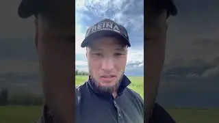 15 июня 2024 г.