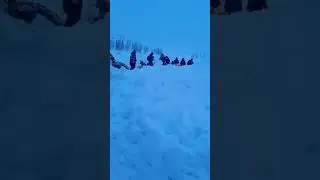 Видео с места трагедии: эвакуация пострадавших при крушении МИ-8
