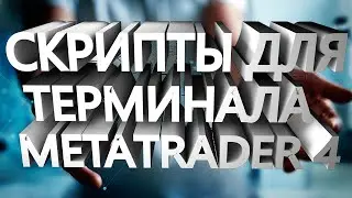 Скрипты для metatrader 4. Установка, применение.