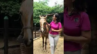 Tour Sede Campestre