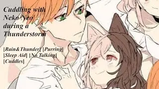 Cuddles with Neko Neo during a thunderstorm [Rain & Thunder] [Purring] [No Talking] [Sleep Aid]