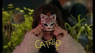 Gaisma - Catnip