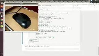 video webcam